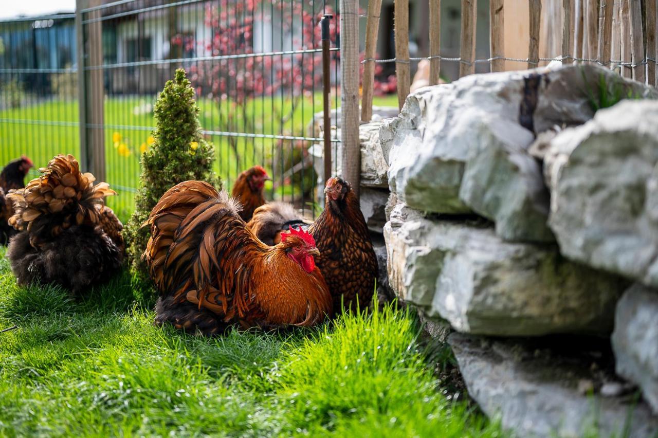 Daskaiser - Dein Gartenhotel In Tirol Ebbs Esterno foto